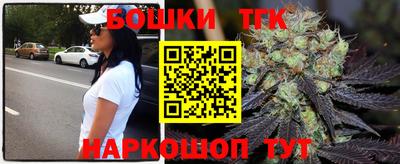 индика Гусь-Хрустальный