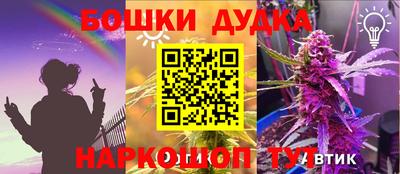 индика Гусь-Хрустальный