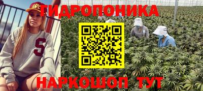 прущие крисы Гусев