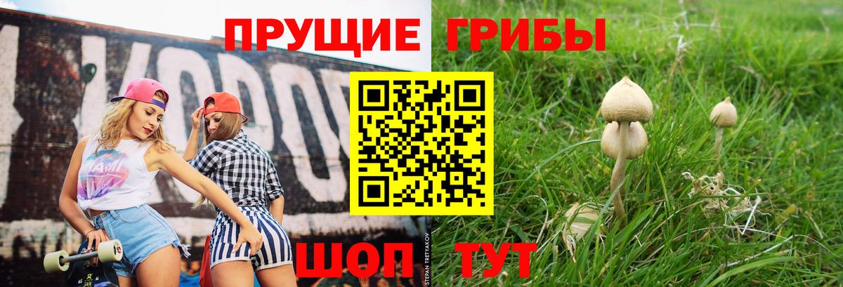 Псилоцибиновые грибы ЛСД Моздок